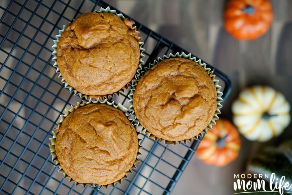 pumpkin muffins